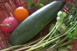 口コミ：夏野菜がすくすく育ってます！の画像（3枚目）