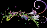 口コミ記事「世界から集めた植物のチカラ『マキシドイドグミ』」の画像