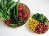 口コミ記事「新鮮野菜」の画像