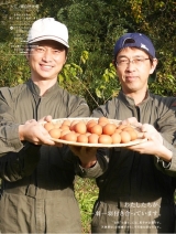 口コミ：大江ノ郷自然牧場の高級卵、通販の画像（3枚目）