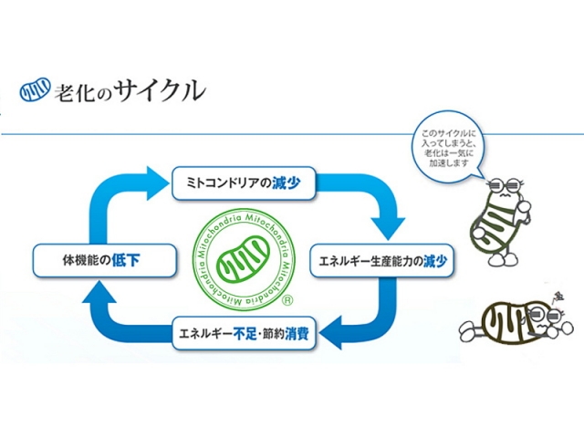 口コミ：美容・健康・エイジングケアに「ミトコンサプリＰ３」でパワーアップ♪の画像（2枚目）