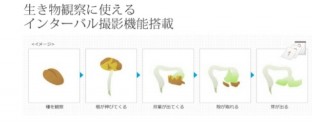 口コミ：USBデジタル顕微鏡の画像（6枚目）