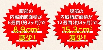 口コミ：内臓脂肪を減らしたい！モニターの画像（3枚目）