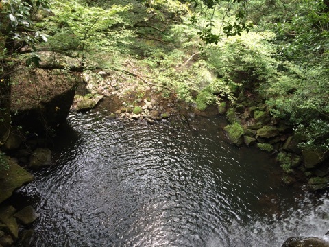 口コミ：別府旅行 IN 岳切渓谷 / うな次郎の画像（8枚目）