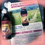 有機アロニア１００％果汁❤️アロニアは北米原産の小果樹ですが、ロシアで品種改良されブルガリアなどの東欧諸国に広く栽培されています。ポリフェノールが多いため活性酸素を消去する抗酸化力が高く、若さ…のInstagram画像