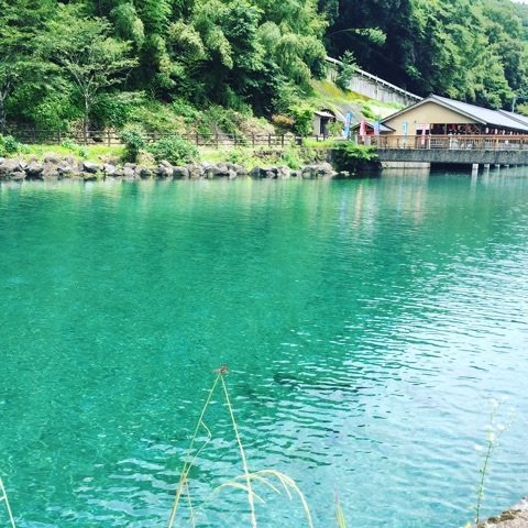 口コミ：竹中池そうめん流し・ヘラスリムの画像（3枚目）