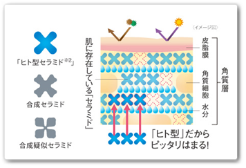 口コミ：ヒフミド トライアルセット ヒト型セラミドで潤いキープ！の画像（3枚目）