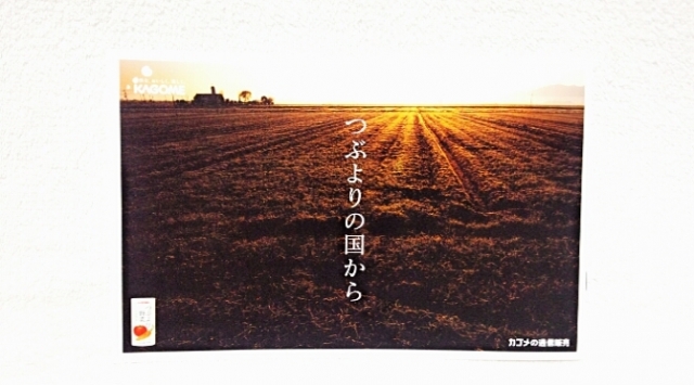 口コミ：●【モニター】カゴメ通販限定野菜ジュース　累計販売数１０００万本突破！！　カゴメ株式会社様の画像（5枚目）