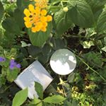 #vintorte  #VINTORTE #ヴァントルテ #ミネラルuvファンデーション  #ミネラルUVファンデーション #ミネラルファンデーション #SPF50  #monipla…のInstagram画像