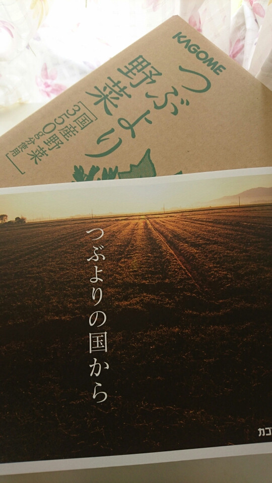 口コミ：106.美味しい説得力がある野菜ジュース カゴメ「つぶより」野菜の画像（11枚目）