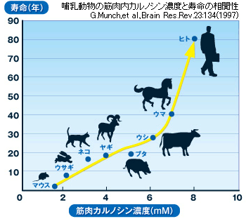 口コミ：確証ある疲労対策とエイジングケアに #イミダペプチドQ10 #日本予防医薬 #疲労回復の画像（3枚目）