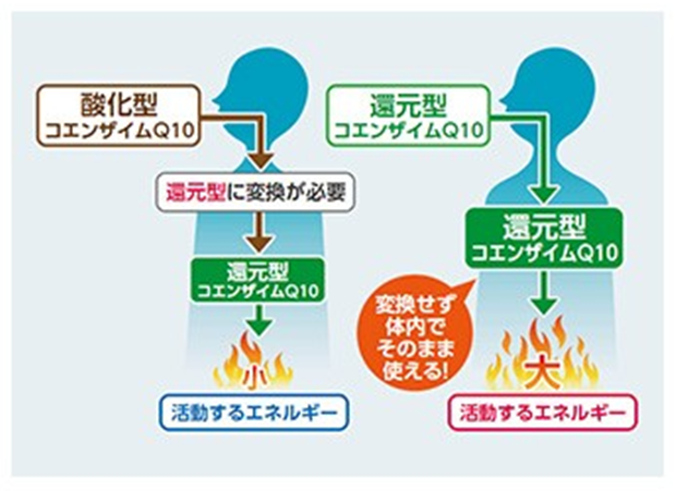 口コミ：確証ある疲労対策とエイジングケアに #イミダペプチドQ10 #日本予防医薬 #疲労回復の画像（5枚目）