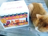 口コミ記事「【フェリシモ猫部】第1弾おうちで試食会！猫好き用ラーメンにゃーん麺」の画像