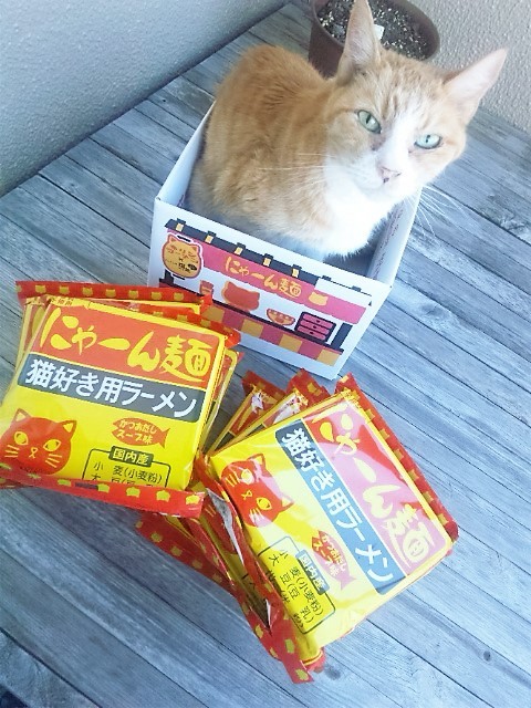 口コミ：【フェリシモ猫部】第1弾おうちで試食会！　猫好き用ラーメン　にゃーん麺の画像（7枚目）