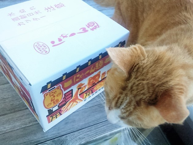口コミ：【フェリシモ猫部】第1弾おうちで試食会！　猫好き用ラーメン　にゃーん麺の画像（2枚目）