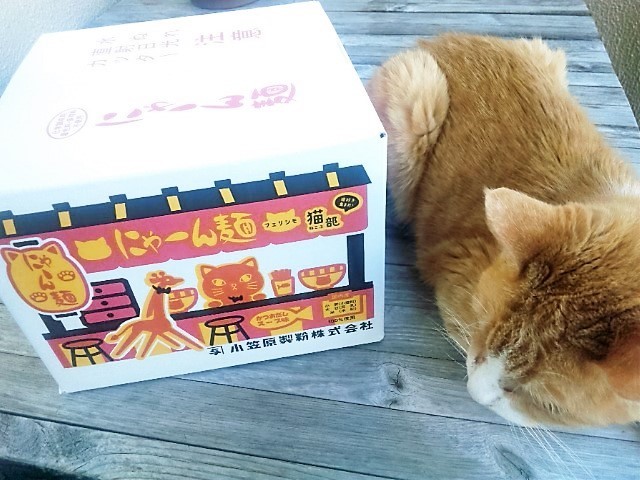 口コミ：【フェリシモ猫部】第1弾おうちで試食会！　猫好き用ラーメン　にゃーん麺の画像（1枚目）