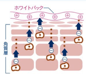 口コミ：
  塗ってたった5分で速攻白肌（≧∇≦）
の画像（3枚目）