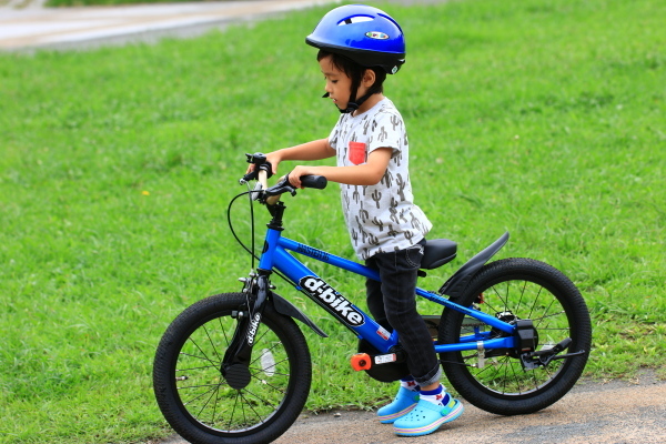 ディーバイク マスターって自転車のれんしゅうになる