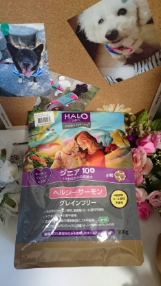 口コミ：(=ﾟωﾟ)ﾉ＜HALO(ﾊﾛｰ)の画像（1枚目）