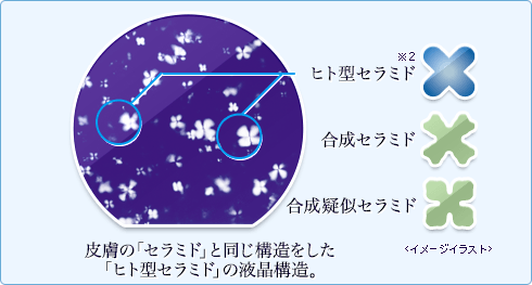 口コミ：1日中潤う #小林製薬 #ヒフミド #トライアルセット #ヒト型セラミド #保湿ケア #高保湿　の画像（4枚目）