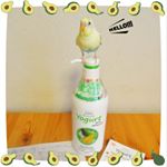 .メルが上手にモデルさんをしてくれたので、もう1枚アップします‼️🐥😄👍.モニプラさんから届いた『レイヴィーヨーグルトプラスボタニカルボディシャンプー』。アボカド&ヨーグルトで、肌に優しい…のInstagram画像