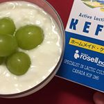 #rosellkefir #monipla#homemadekefir  #ホームメイド・ケフィア #手作りヨーグルト #手作り #ヨーグルト #牛乳パックでできます。 #美味…のInstagram画像