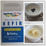 美味しいケフィア☆果物との相性が良くて日替わりで楽しんでいます♪夫がハマってしまって「これどうやって作ってるの？」と。すごく手間だと思ってる(笑)でもね、牛乳にケフィアを入れて放置して…のInstagram画像