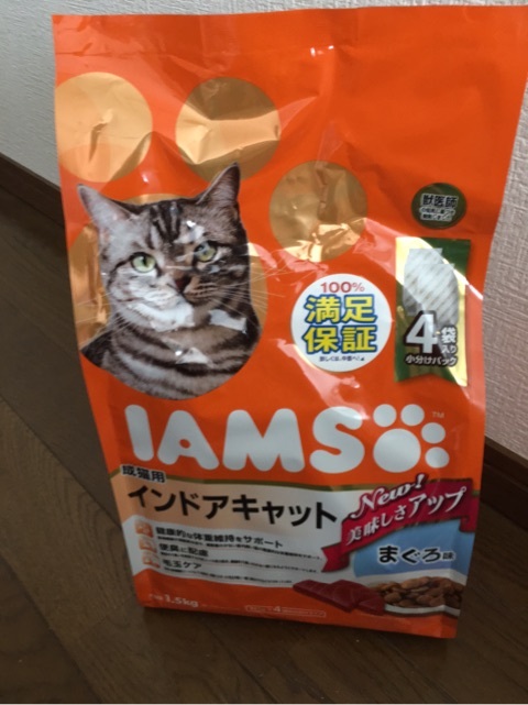 口コミ：猫ちゃんモニターの画像（1枚目）