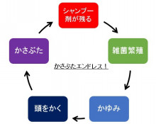 口コミ：
  ハイビスカスは髪にもいい？☆傷んだ髪に効くぅ、ハイビスカスシャンプー♪
の画像（4枚目）