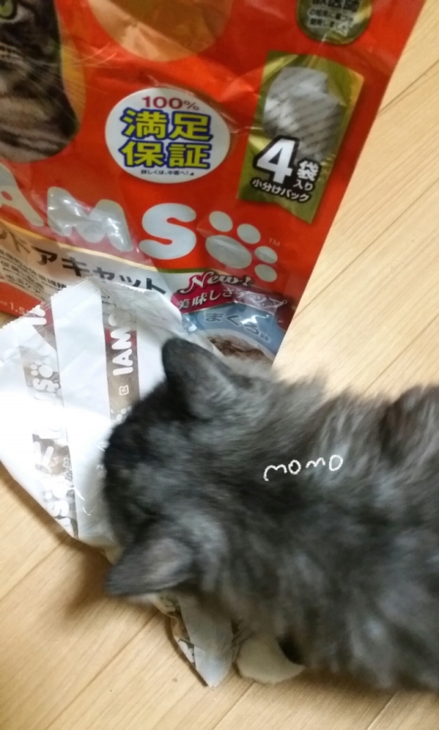 口コミ：猫ちゃん大喜びアイムスキャットドライフード成猫用インドアキャットまぐろ味の画像（3枚目）