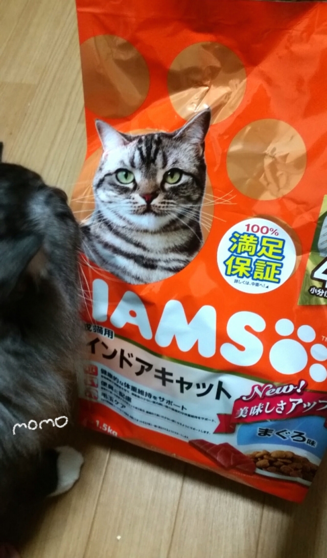 口コミ：猫ちゃん大喜びアイムスキャットドライフード成猫用インドアキャットまぐろ味の画像（1枚目）