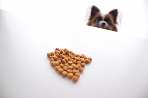 口コミ：スーパーナチュラルドッグフード ハロー ✩ 小粒で小型犬でも食べやすい♪の画像（15枚目）