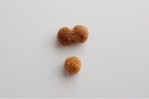 口コミ：スーパーナチュラルドッグフード ハロー ✩ 小粒で小型犬でも食べやすい♪の画像（13枚目）