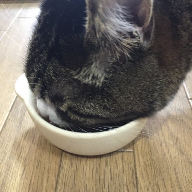 口コミ：アイムス　成猫用避妊・去勢後の健康維持チキン味の画像（4枚目）