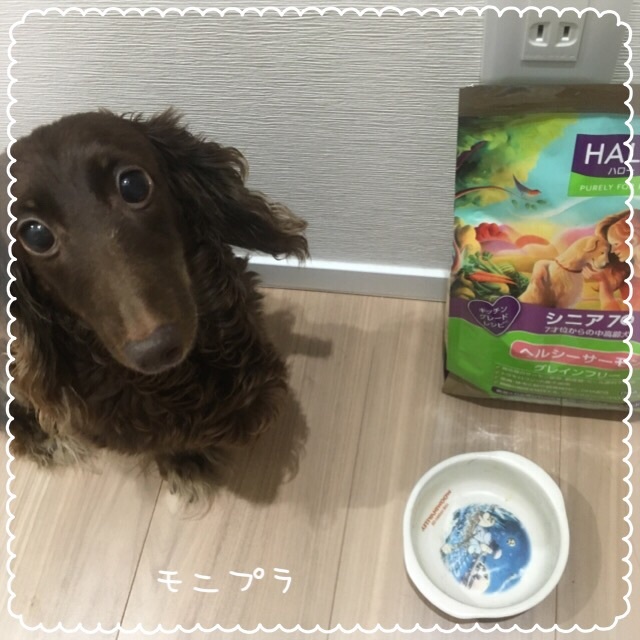 口コミ：*☆*:;;;:*☆HALO(ハロー) ドッグドライフード　900ｇ ☆*:;;;:*☆*の画像（5枚目）