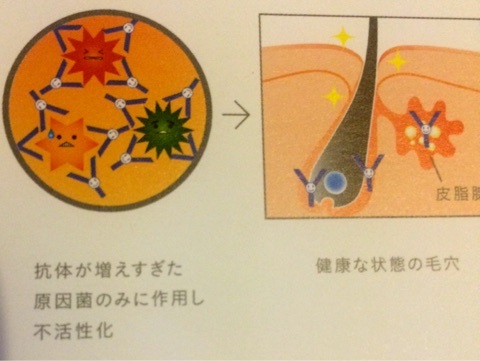 口コミ：LAFIS ACケアライン サンプルセット で ダチョウの卵ケアの画像（3枚目）