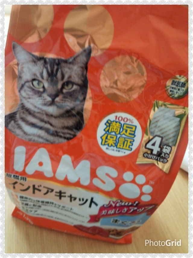 口コミ：IAMSインドアキャットまぐろ味の画像（1枚目）