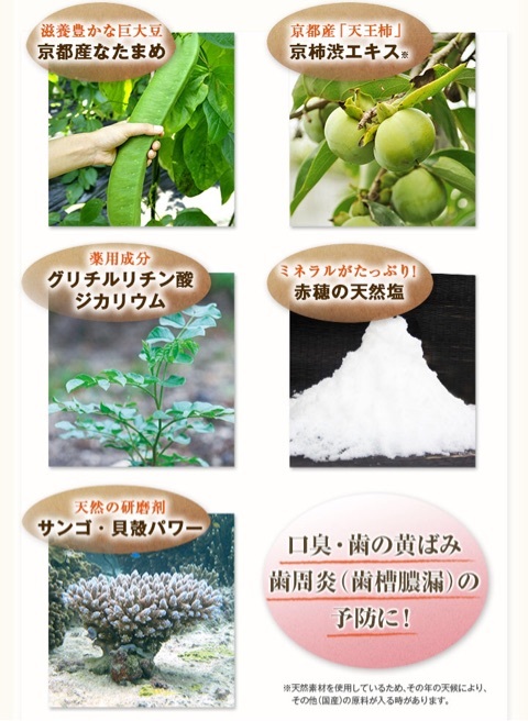 口コミ：株式会社 京都やまちや 薬用なたまめ柿渋歯磨きの画像（8枚目）