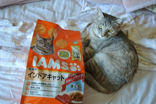 口コミ：史上最高においしいアイムスできました☆成猫用　インドアキャット　まぐろ味の画像（16枚目）