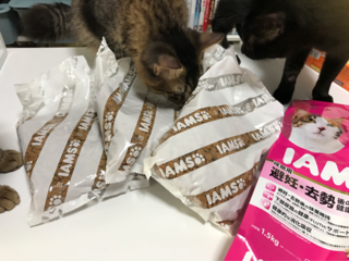 口コミ：大切な我が子達のご飯＊IAMS(ｱｲﾑｽ)の画像（3枚目）