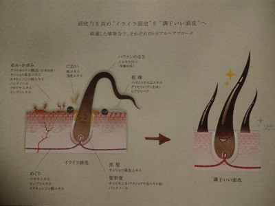 口コミ：
  お家で手軽に頭皮ケア「オルタニカ スカルプエッセンス」③
の画像（2枚目）