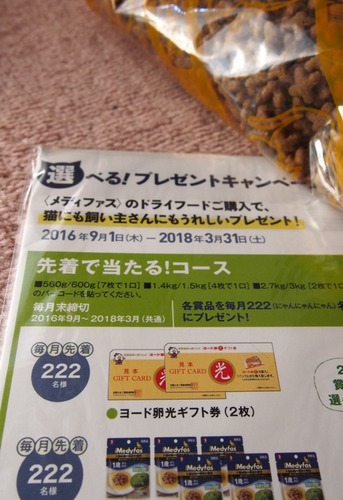 口コミ：愛猫の太りやすい体質に配慮♪プレミアムキャットフード　メディファス避妊去勢ケアの画像（6枚目）