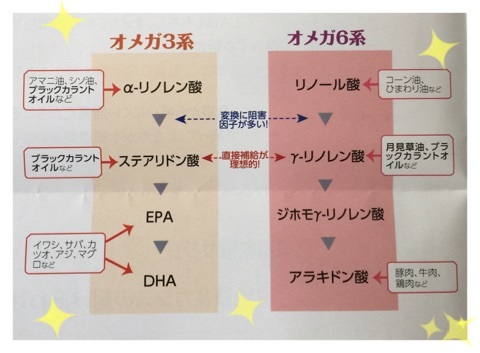 口コミ：プリムローズの画像（2枚目）