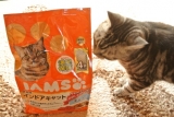 口コミ記事「猫はカワイイとワガママがお仕事です。」の画像