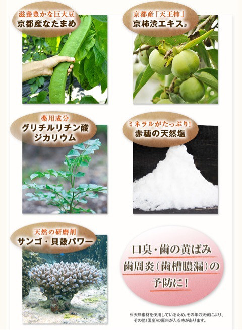 口コミ：株式会社 京都やまちや 薬用なたまめ柿渋歯磨き 2回目の画像（11枚目）