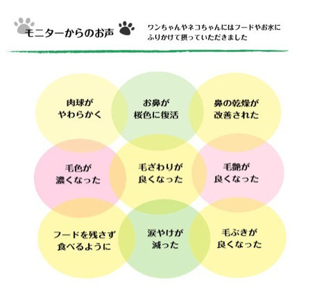 口コミ：ペットと一緒に♪純粋コラーゲンペプチド１００％粉末の画像（10枚目）