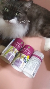 口コミ記事「ネコちゃんとマキベリー玄米ドリンク」の画像