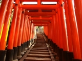 「京都といえば…！」の画像