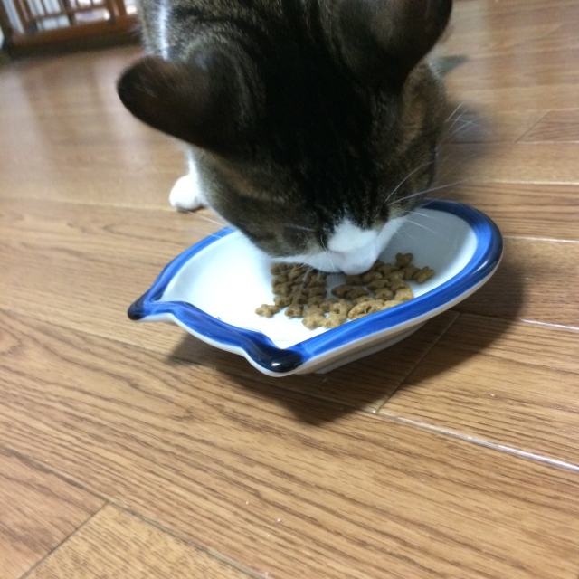 口コミ：メディファス♡太りやすい愛猫ちゃんのごはん！の画像（4枚目）