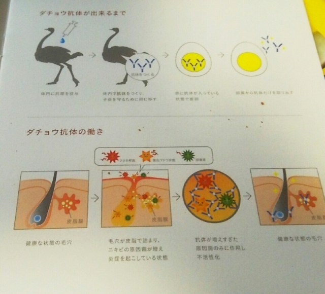 口コミ：整菌で治すニキビケア ｢ラフィスACリッチケアライン｣の画像（1枚目）